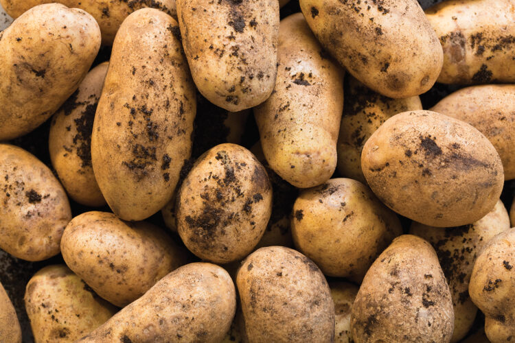 Pass the potatoes, or take a pass? Here’s expert advice News, Sports
